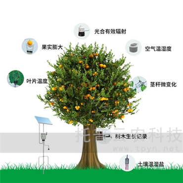 植物生理生態(tài)監(jiān)測系統(tǒng)